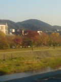 2010秋.jpg