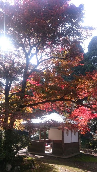 DSC_2863e.jpg