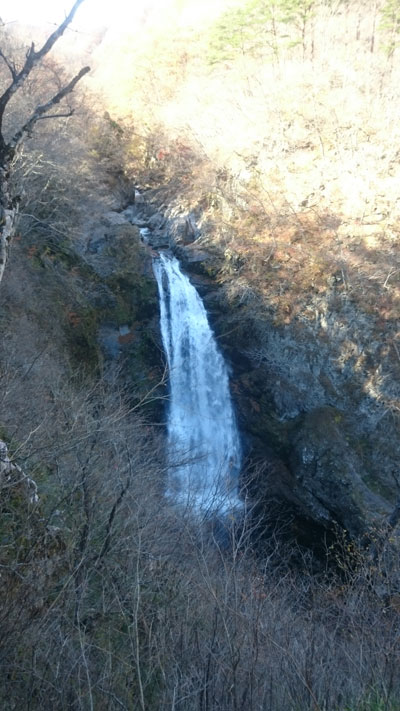 DSC_2944ee.jpg