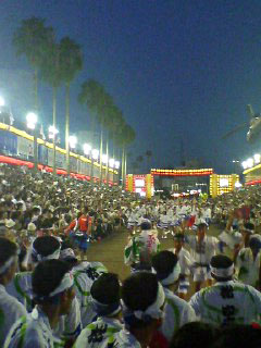awaodori3.jpg