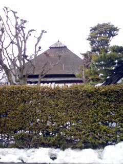 hirosaki6.jpg