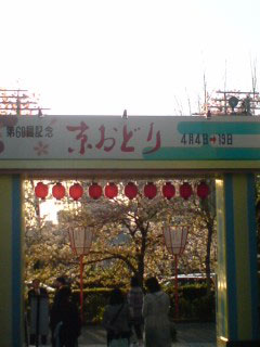 kyouodori6.jpg
