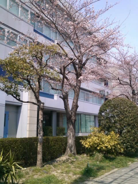 mini_110402_1118.jpg