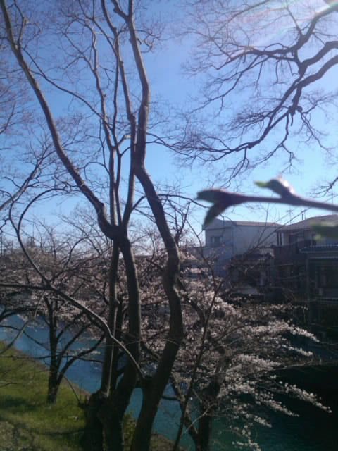 mini_110404_15270001.jpg