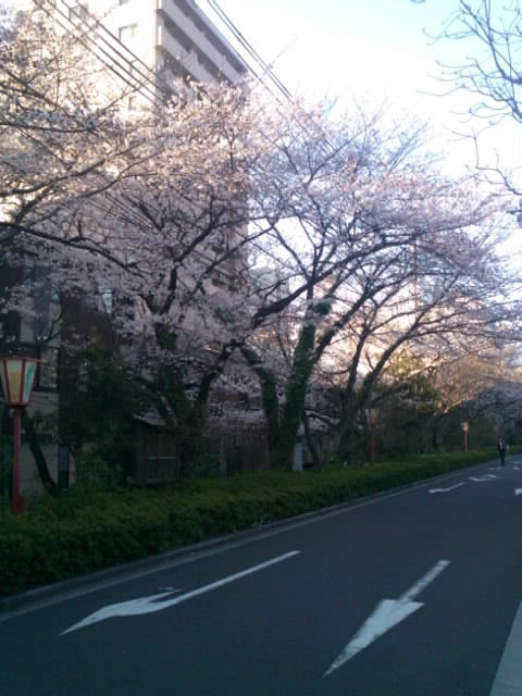 mini_110405_1656.jpg