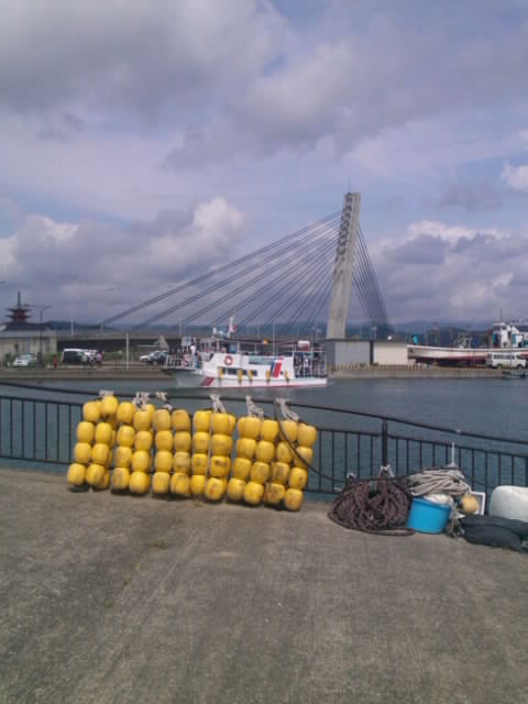 mini_110813_0959.jpg