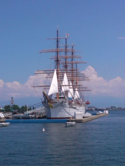 mini_110814_1244.jpg