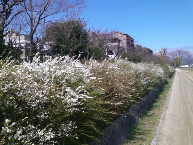mini_130321_1203.jpg