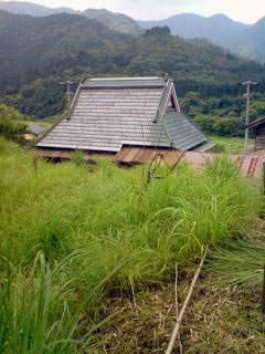 miyama1.jpg