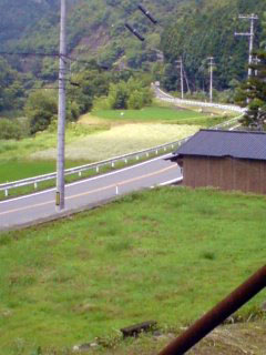 miyama3.jpg