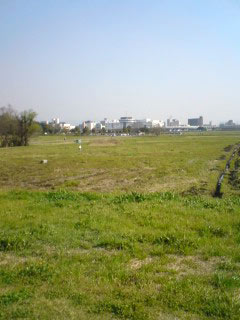 sakura-nara4.jpg