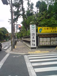 tinowa1.jpg