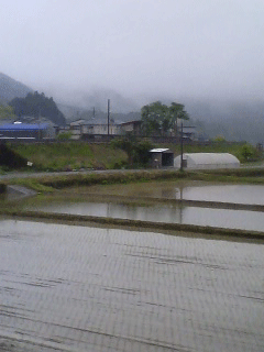 若井村