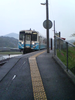 wakai5.gif
