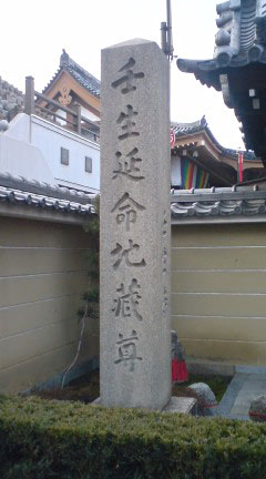 壬生寺１.jpg