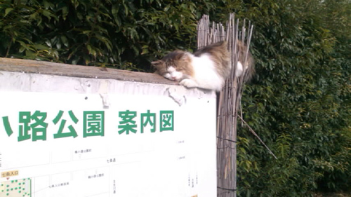 梅小路公園１.jpg