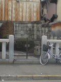 道元２.jpg